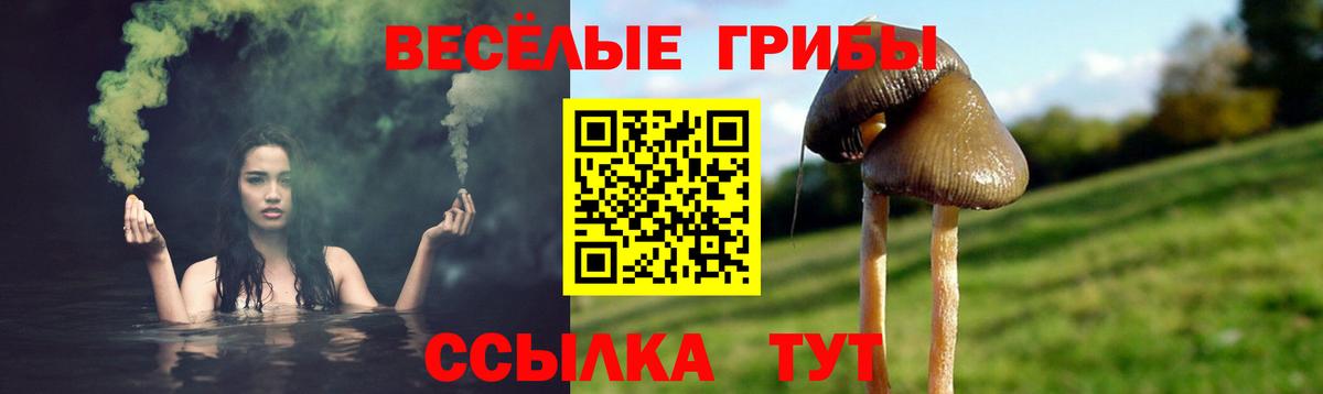 Псилоцибиновые грибы Magic Shrooms Кыштым